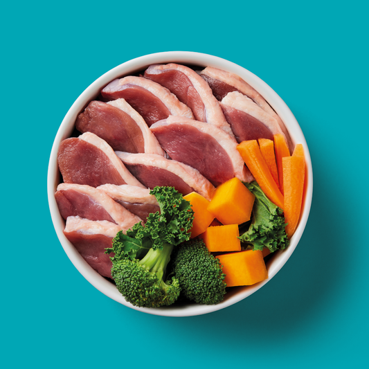Raw duck Nutriment bowl
