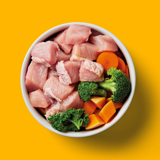 Raw turkey Nutriment bowl