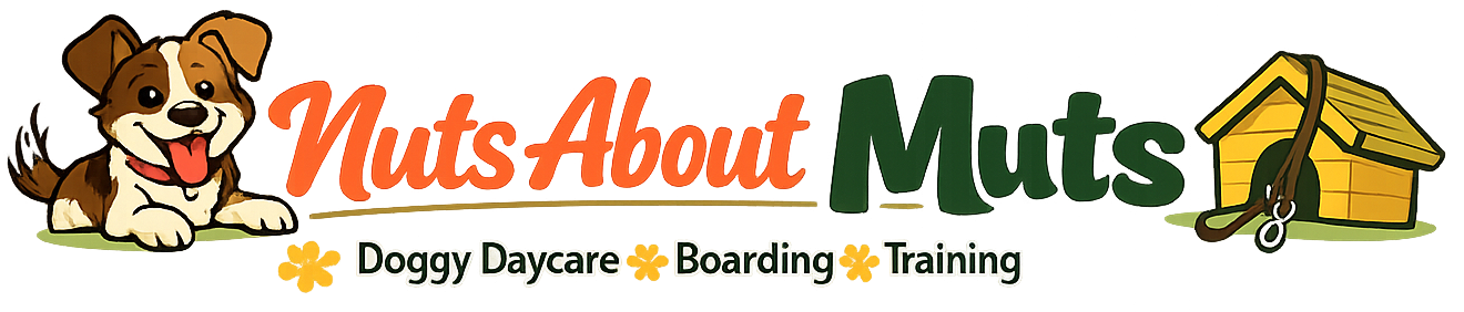 Nuts About Muts Doggy Daycare, Boarding and Training